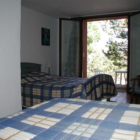 Chambres D'Hote L'Amandiere A Cucugnan Exterior photo