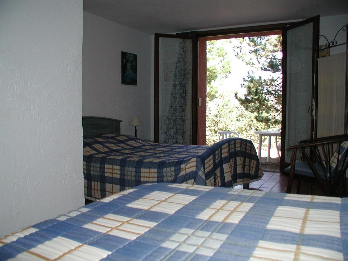 Chambres D'Hote L'Amandiere A Cucugnan Exterior photo